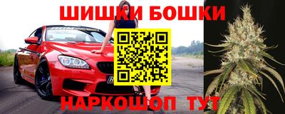 крисы Брянск