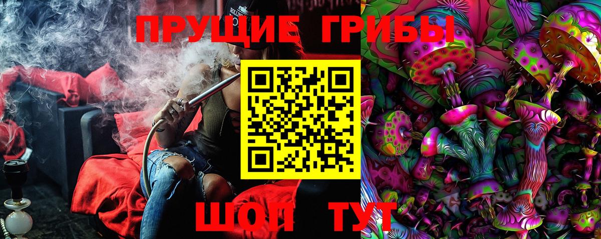Псилоцибиновые грибы Magic Shrooms  Вход с VPN  Приморско-Ахтарск  Псилоцибиновые грибы Cubensis 
