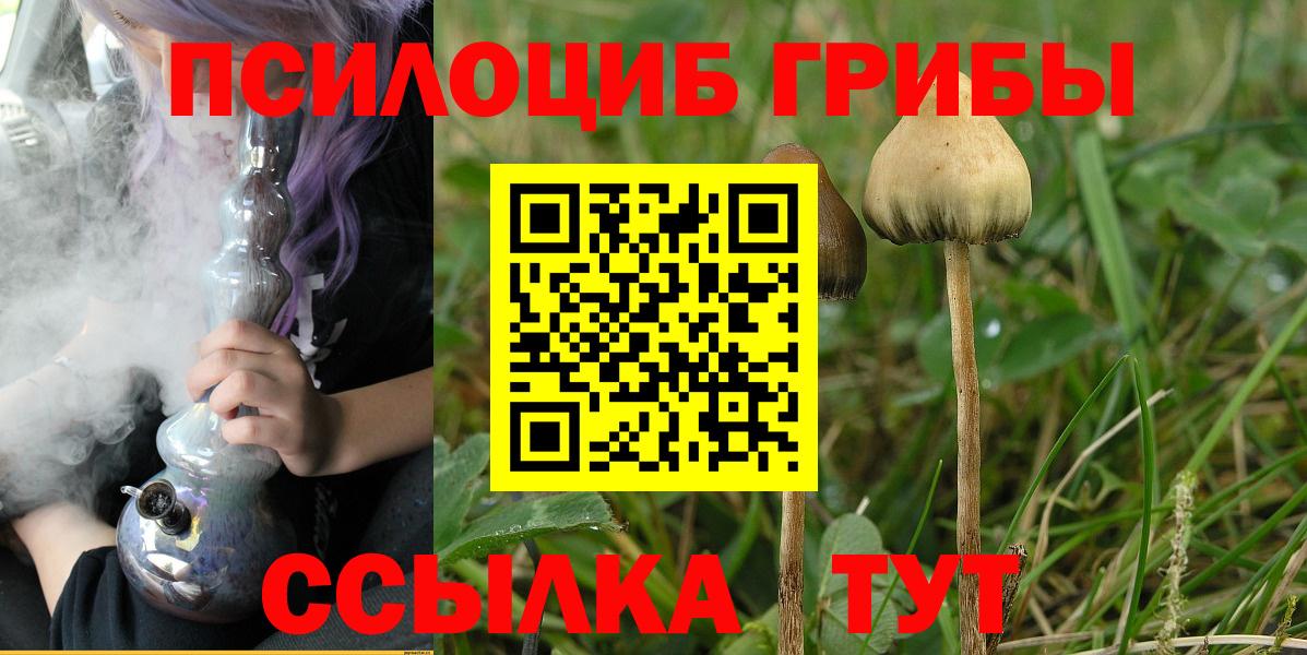 Псилоцибиновые грибы Psilocybine cubensis Приморско-Ахтарск